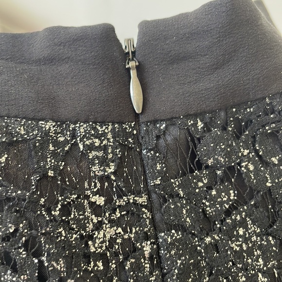 Cocktail skirt extraordinaire! Rebecca Taylor original. - Picture 4 of 4